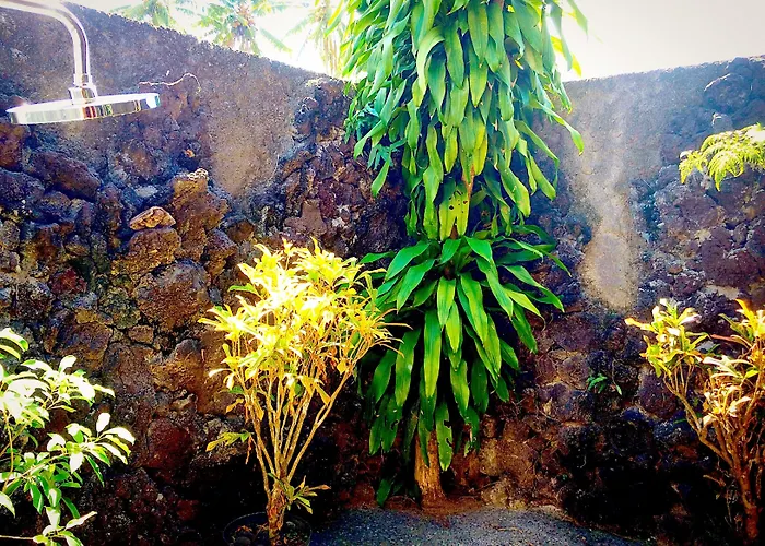 Dupa منتزه العطل أوبود